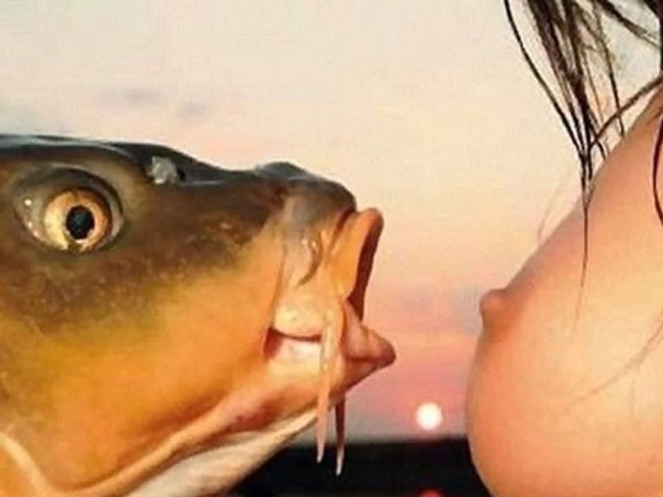  de pe net adunate - mnlicher-karpf-1.jpg